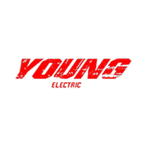 Young Electric Bikes